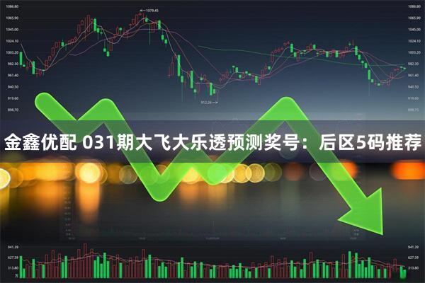 金鑫优配 031期大飞大乐透预测奖号:后区5码推荐