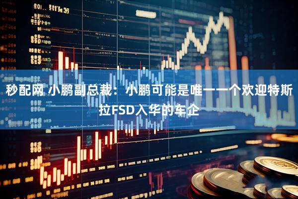 秒配网 小鹏副总裁:小鹏可能是唯一一个欢迎特斯拉FSD入华的车企